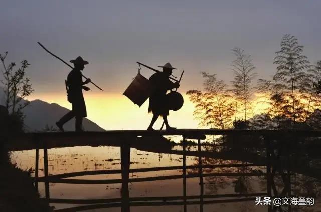 玩家年龄分布调查：00 后占比超 30%，怀旧服为何吸引新生代？